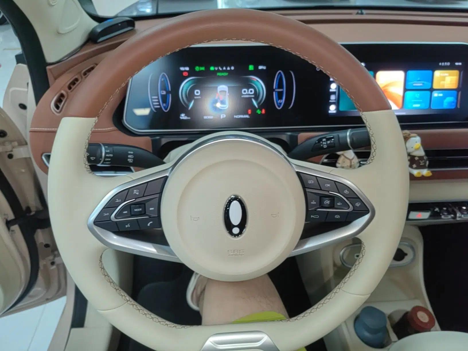 ORA Good Cat 2023 401 km Standard Range Luxury Version Lithium Iron Phosphate — миниатюра 13