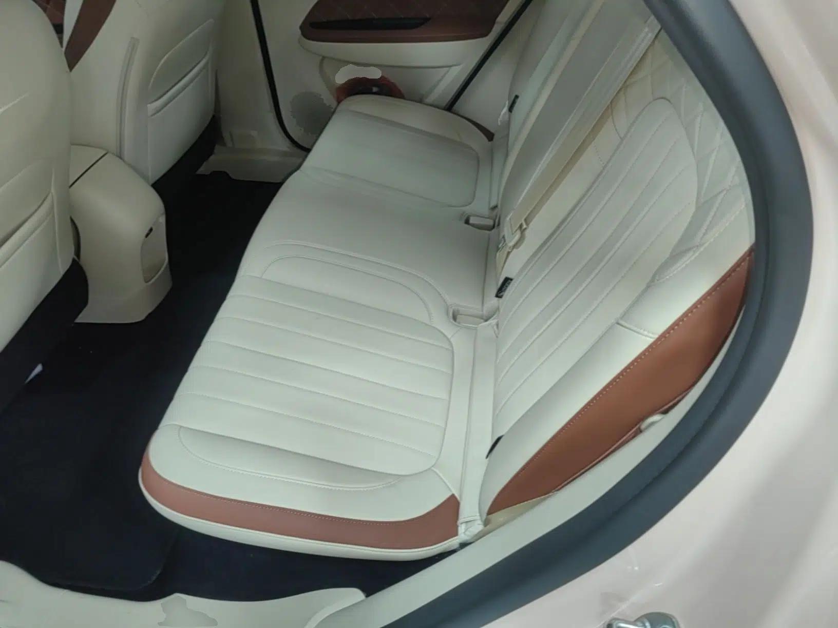 ORA Good Cat 2023 401 km Standard Range Luxury Version Lithium Iron Phosphate — миниатюра 20