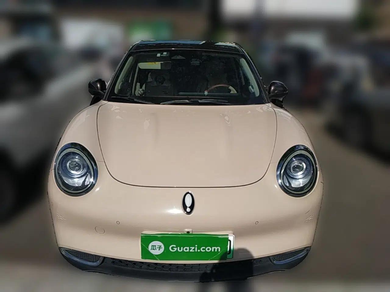 ORA Good Cat 2021 400km Standard Range Athena Edition Lithium-Ion Battery — миниатюра 2