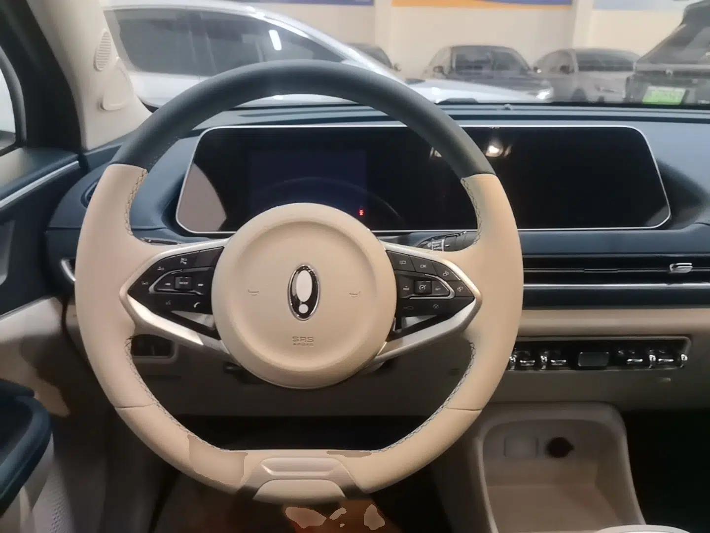 ORA Good Cat 2021 400km Standard Range Venus Edition Lithium Iron Phosphate — миниатюра 13