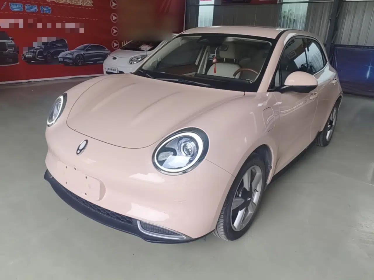 ORA Good Cat 2021 400km Standard Range Venus Edition Lithium-Ion Battery — миниатюра 1