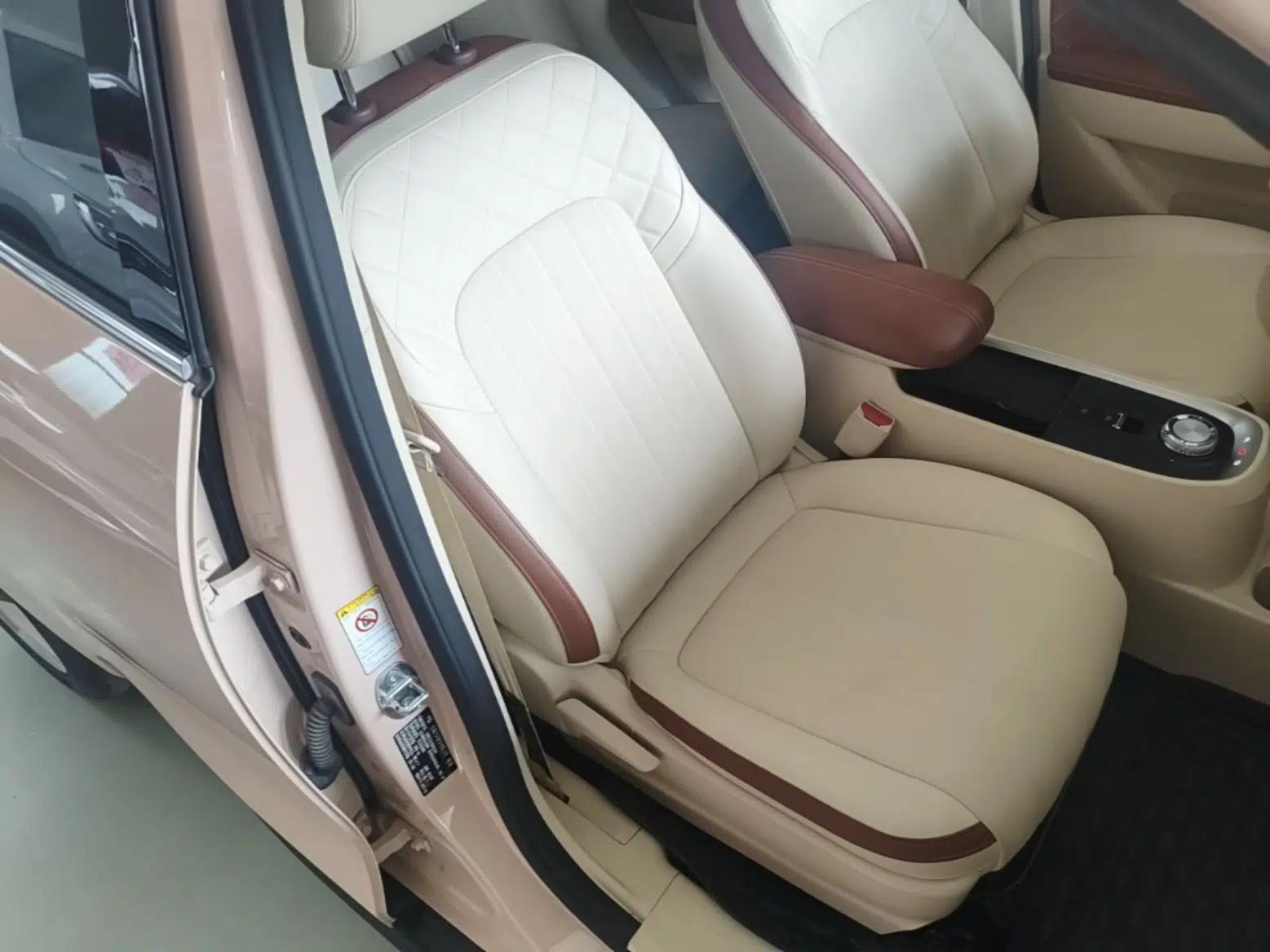 ORA Good Cat 2021 400km Standard Range Venus Edition Lithium-Ion Battery — миниатюра 19
