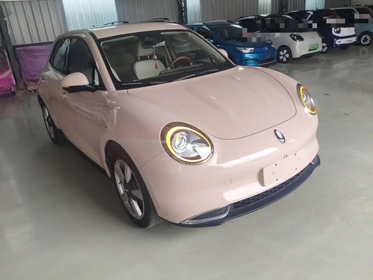 ORA Good Cat 2021 400km Standard Range Venus Edition Lithium-Ion Battery — миниатюра 3