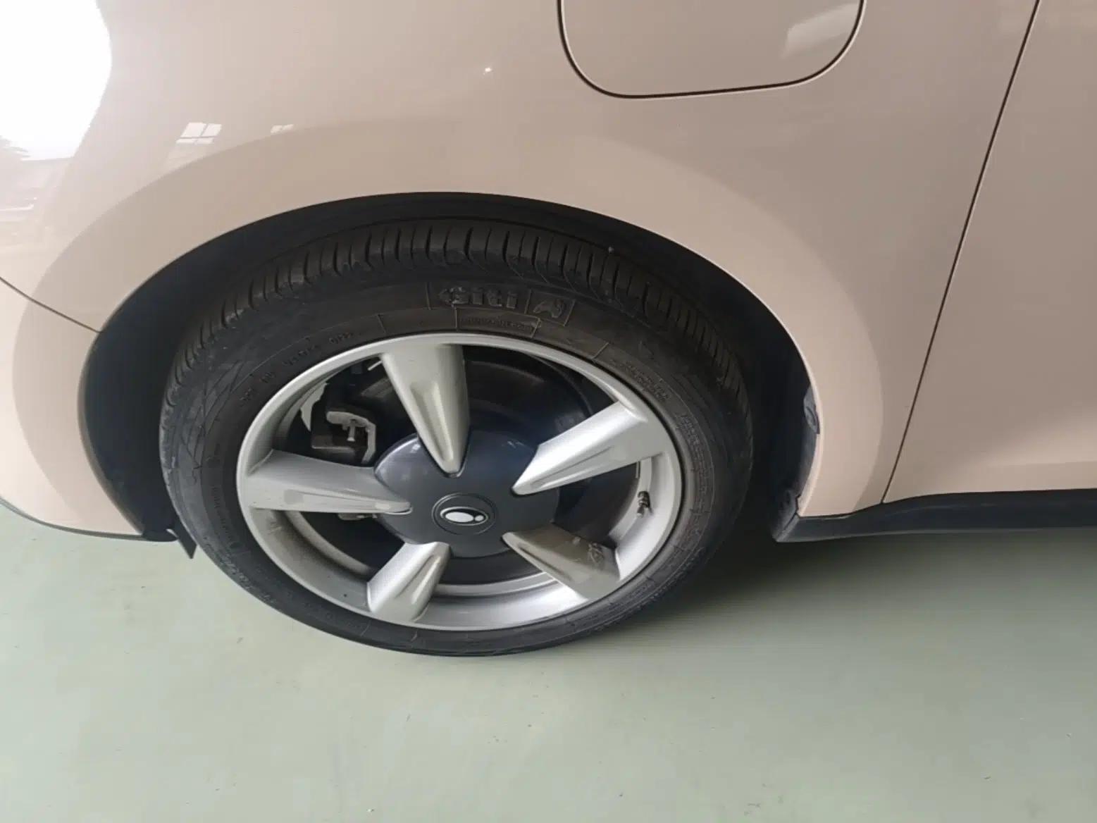 ORA Good Cat 2021 400km Standard Range Venus Edition Lithium-Ion Battery — миниатюра 10