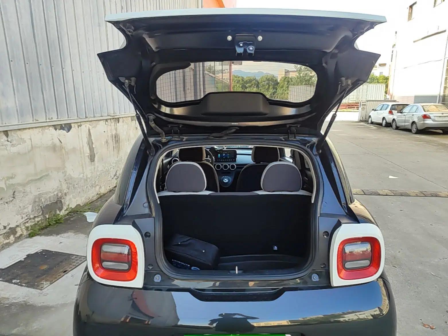 ORA Black Cat 2021 301km Cute Pet Edition — миниатюра 22