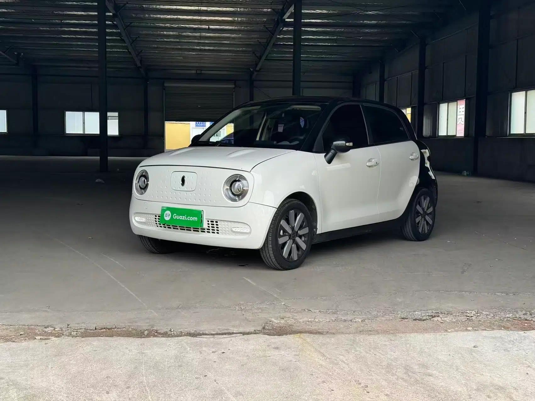 ORA Black Cat 2021 351 km Standard Version — миниатюра 1