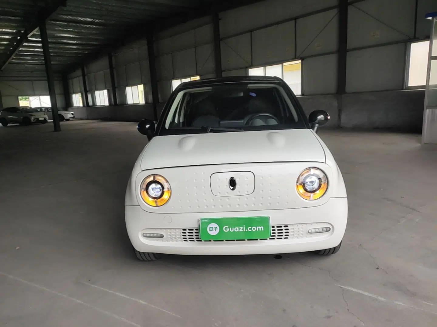 ORA Black Cat 2021 351 km Standard Version — миниатюра 2
