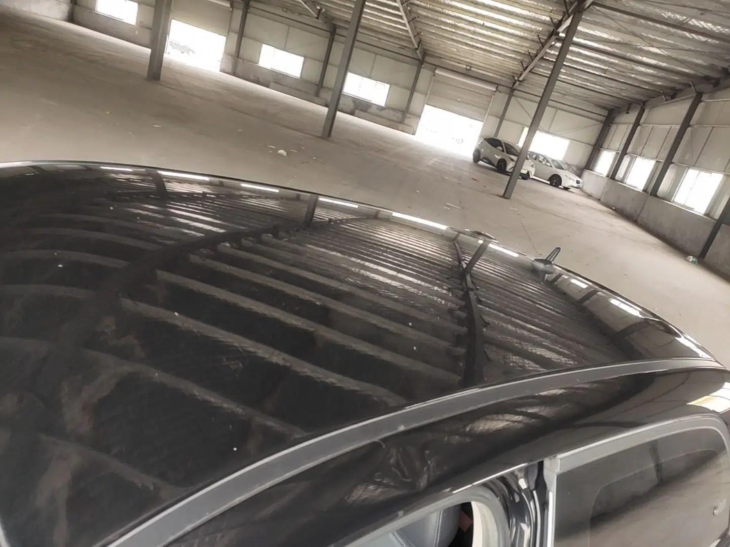ORA Black Cat 2021 351 km Standard Version — миниатюра 7