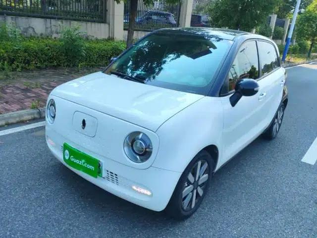 ORA Black Cat 2021 351 km Standard Version