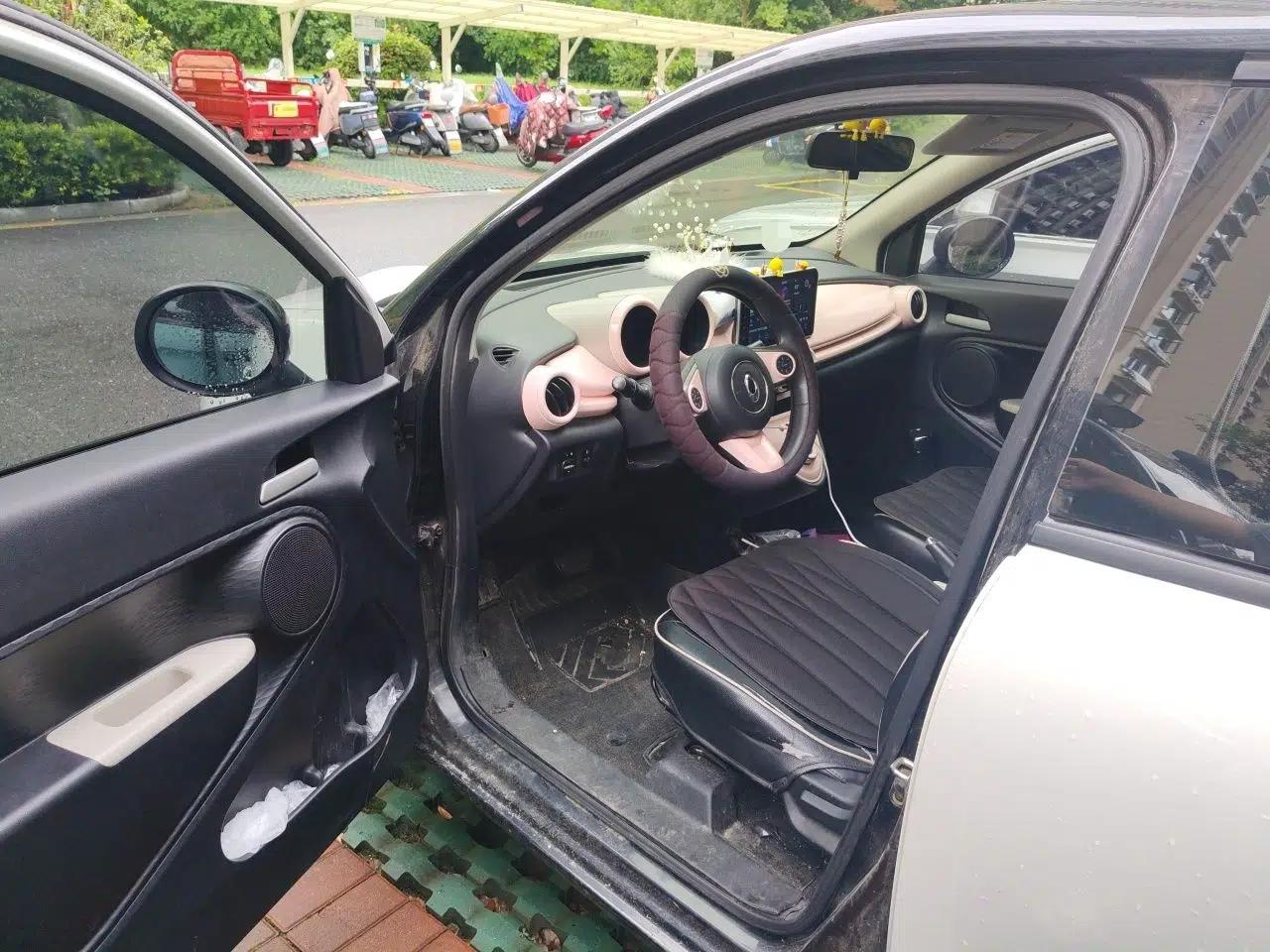 ORA Black Cat 2021 351 km Standard Version — миниатюра 16
