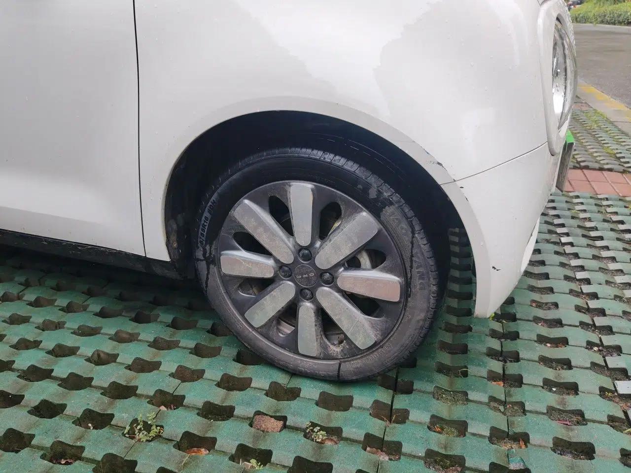 ORA Black Cat 2021 351 km Standard Version — миниатюра 8