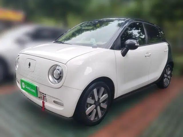 ORA Black Cat 2021 351 km Standard Version