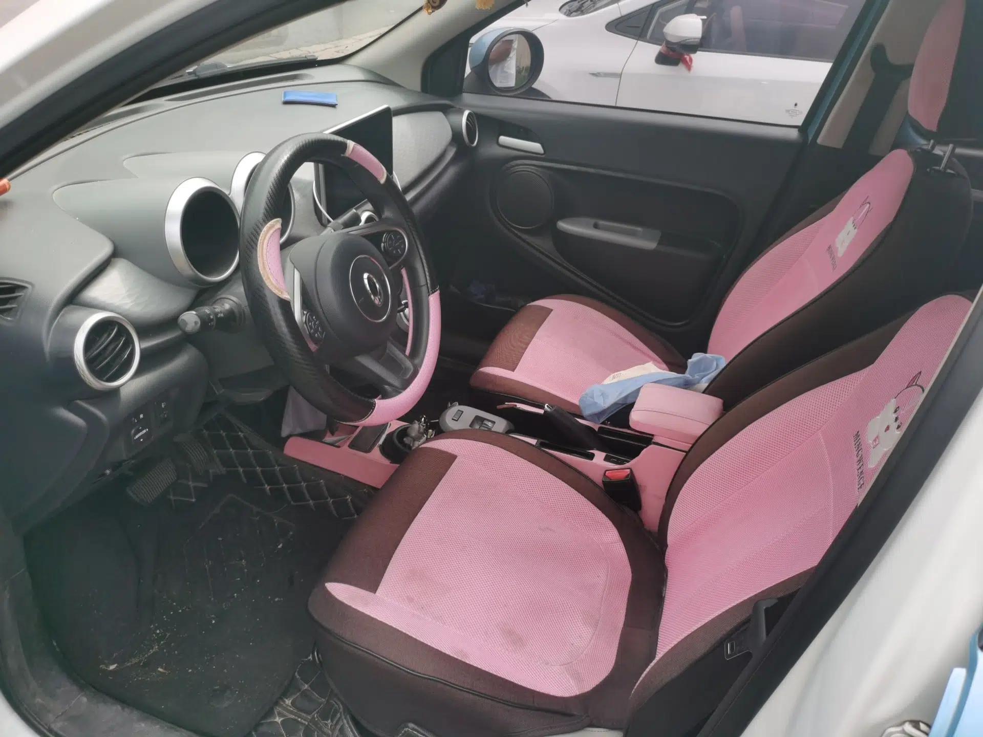 ORA Black Cat 2019 301km Standard Edition — миниатюра 16