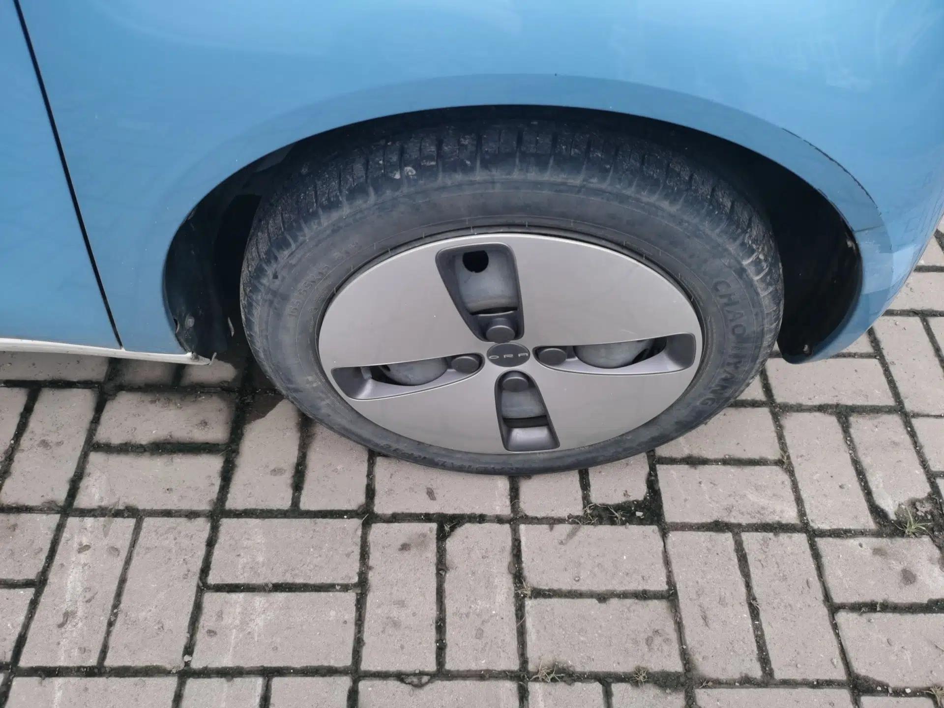 ORA Black Cat 2019 301km Standard Edition — миниатюра 8