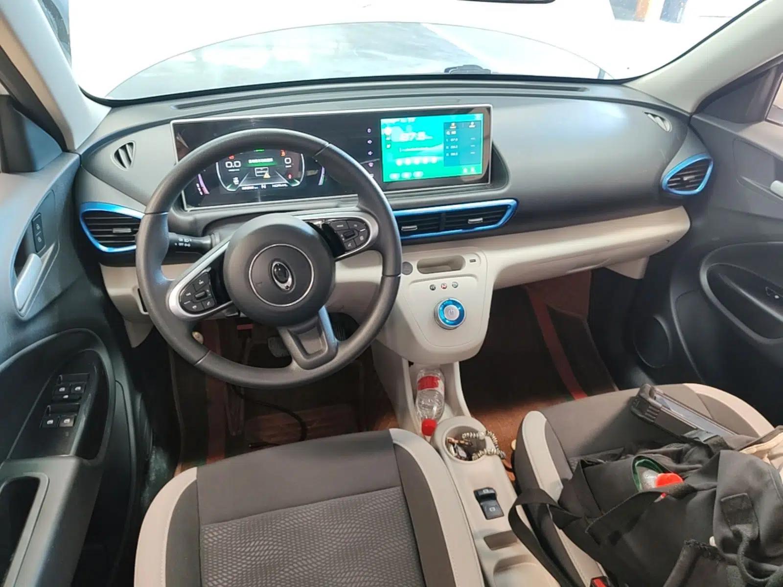 ORA White Cat 2020 305 km Luxury Version — миниатюра 12