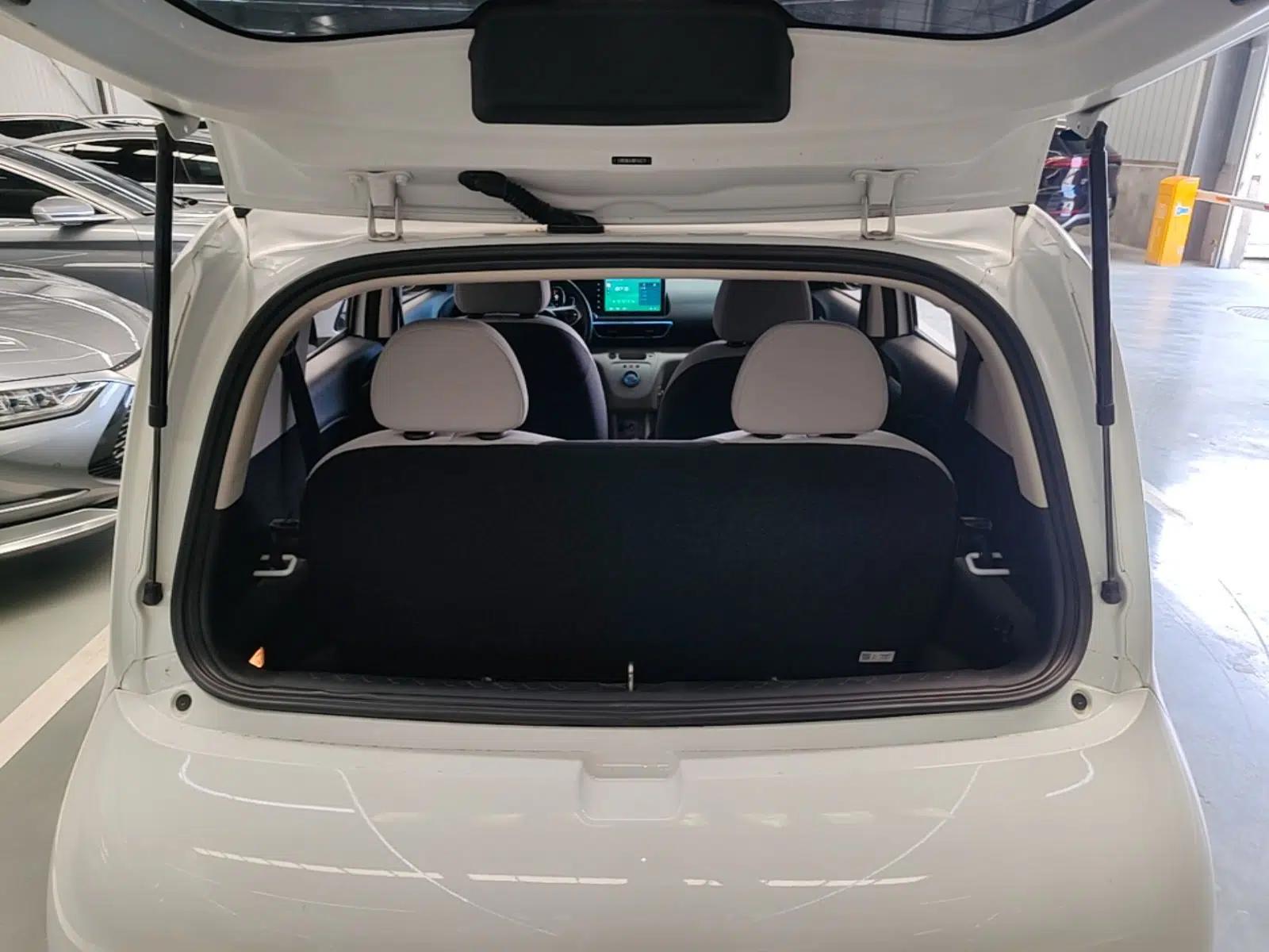 ORA White Cat 2020 305 km Luxury Version — миниатюра 22