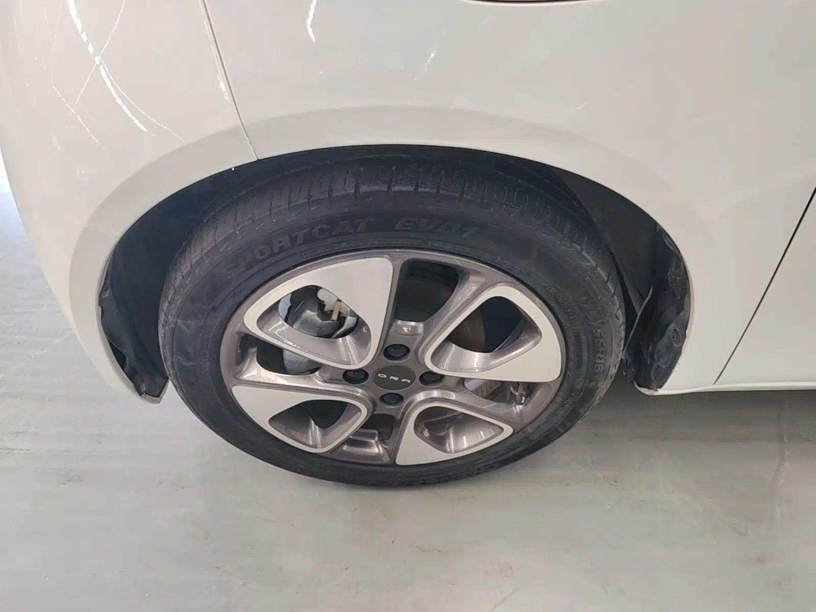 ORA White Cat 2020 305 km Luxury Version — миниатюра 10
