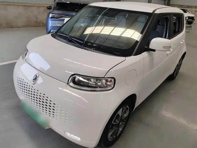ORA White Cat 2020 305 km Luxury Version