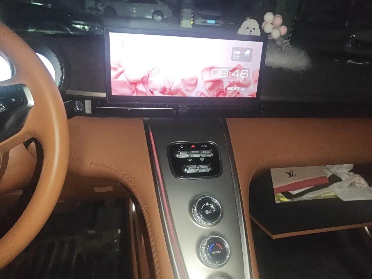 ORA Lightning Cat 2022 555 km Luxury Edition — миниатюра 13