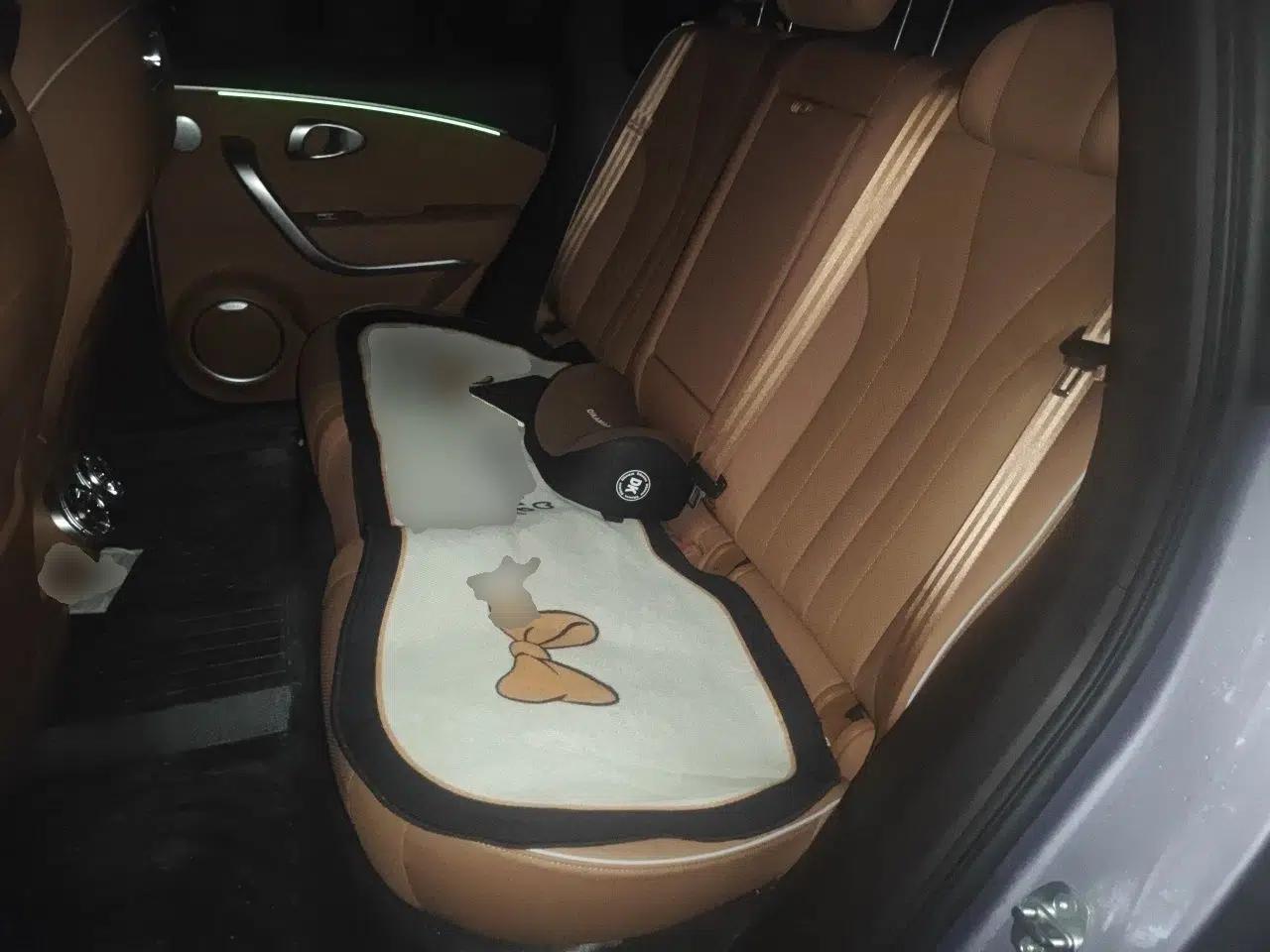 ORA Lightning Cat 2022 555 km Luxury Edition — миниатюра 17