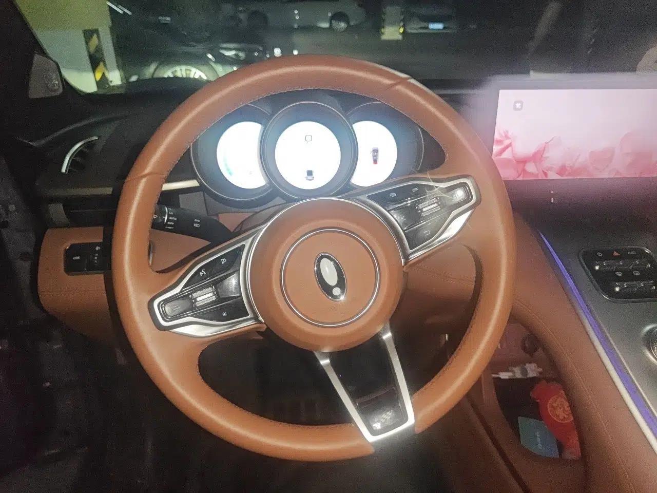 ORA Lightning Cat 2022 555 km Luxury Edition — миниатюра 10