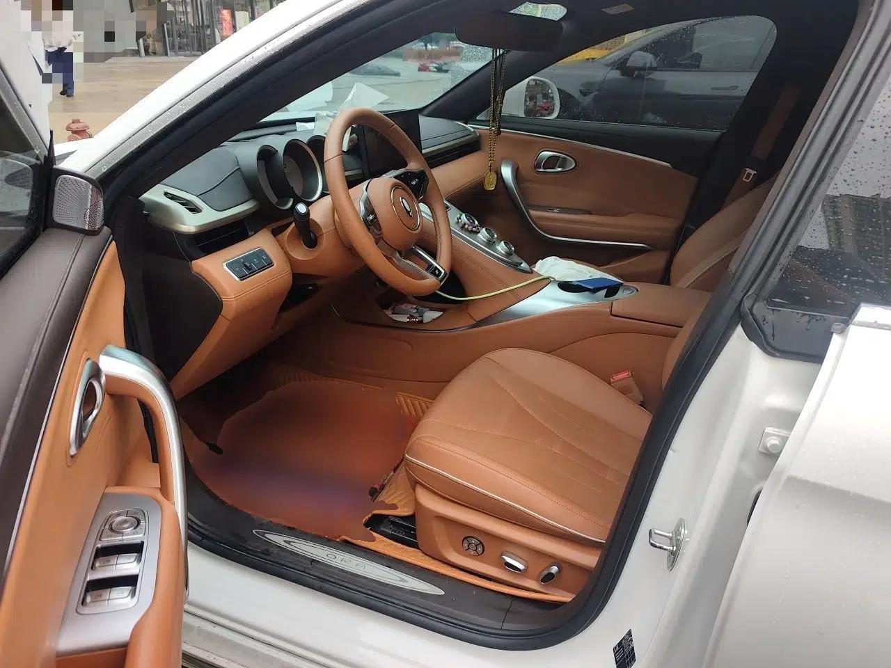 ORA Lightning Cat 2022 555 km Luxury Edition — миниатюра 16