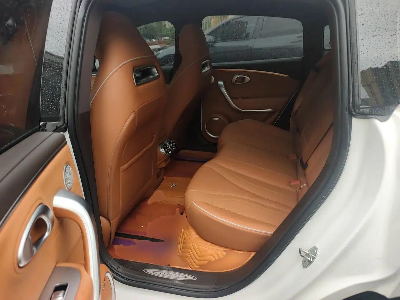 ORA Lightning Cat 2022 555 km Luxury Edition — миниатюра 17
