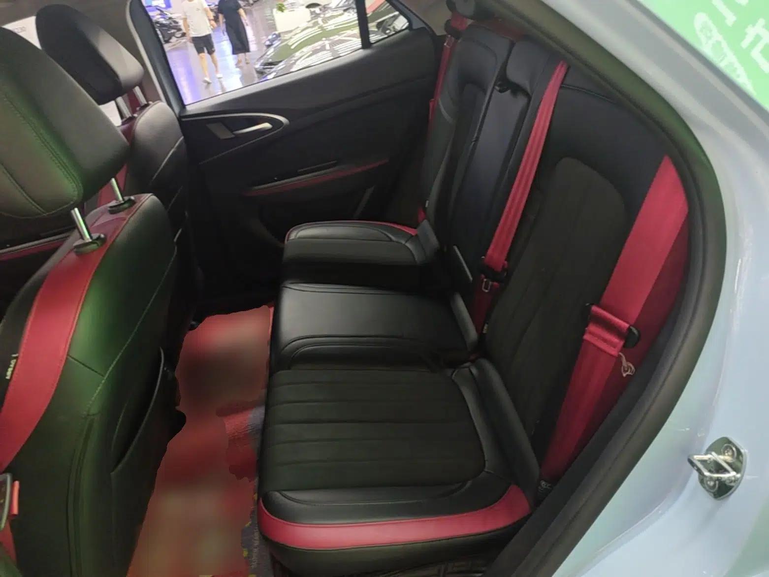 ORA Good Cat GT 2022 Mulan Edition 480km Long-Range续航 — миниатюра 20