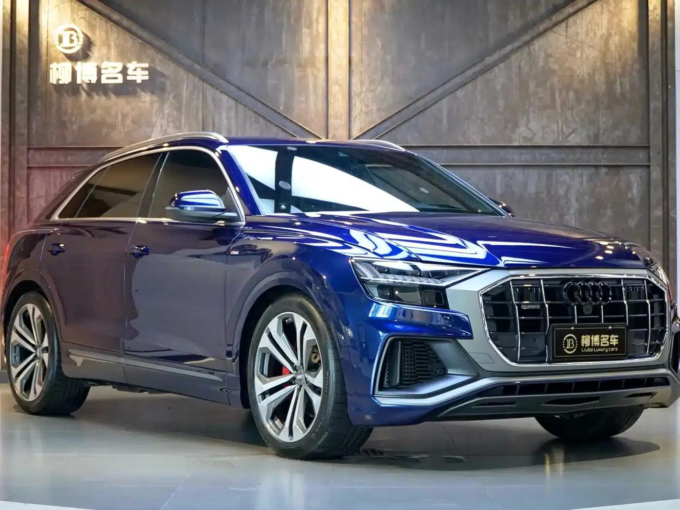 Audi Q8 2019 55 TFSI Supreme Limited Edition — миниатюра 19