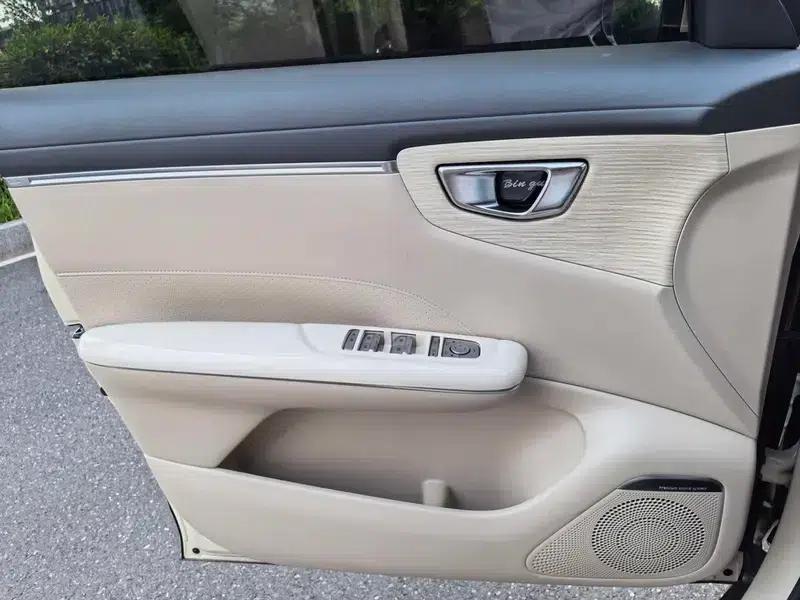 Bingo S 2025 Flagship Model 325km — миниатюра 13
