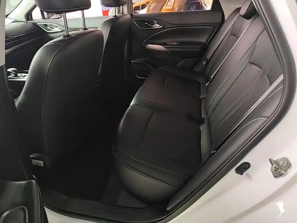AION S 2019 Model 530 — миниатюра 17