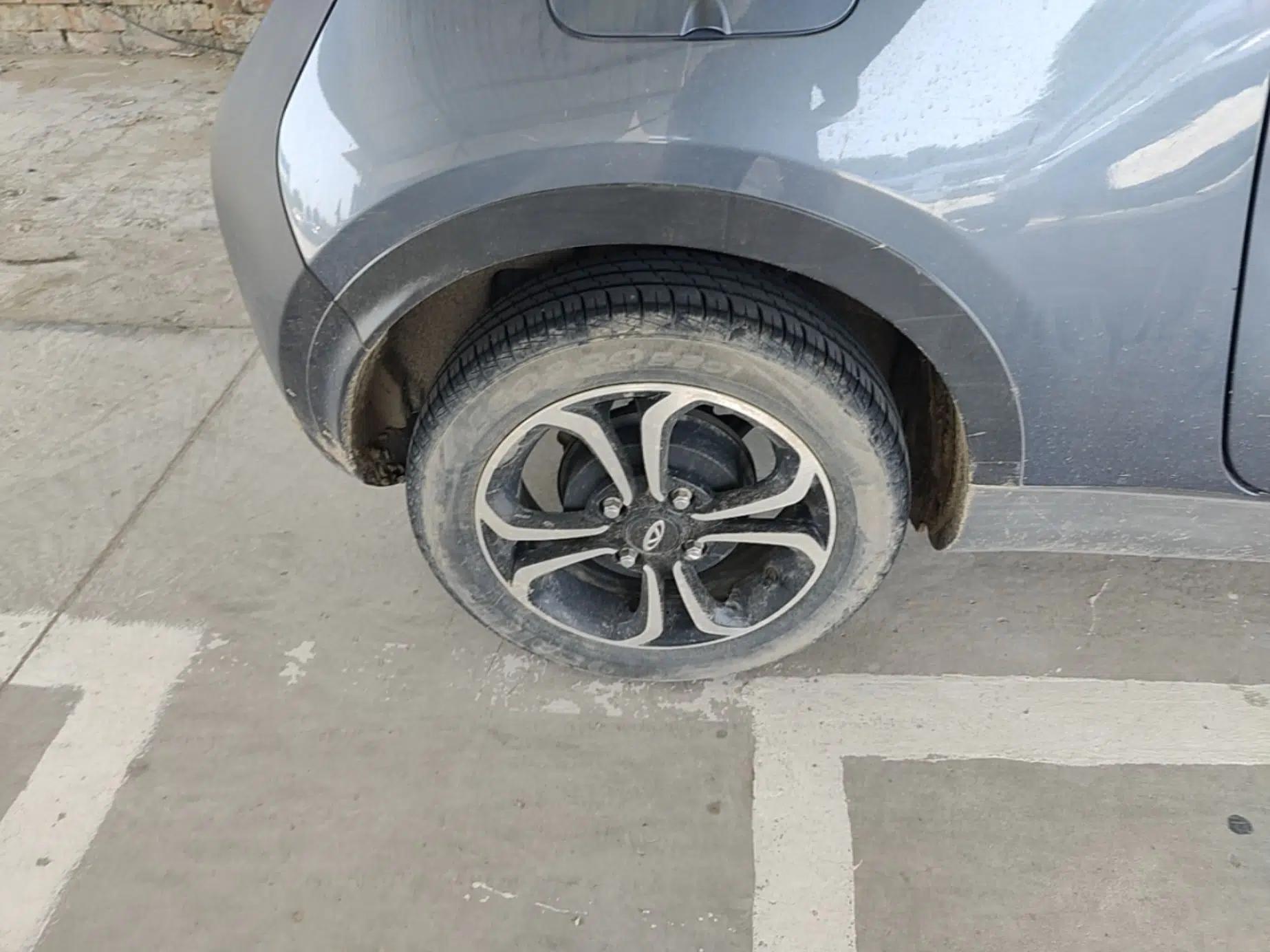 Chery QQ Little Ant 2021 150 000 Yuan "Ant Fan" Edition New Ant Cool Version Lithium-Ion Battery — миниатюра 11