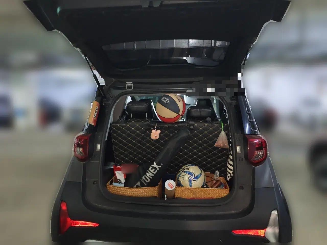 Chery QQ Little Ant 2021 200 000 Yuan "Ant Fan" Edition Energized Version NMC Lithium Battery 301 km — миниатюра 16