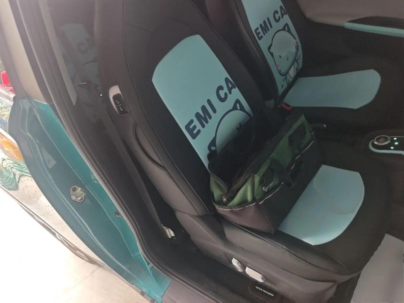 Chery QQ Little Ant 2021 200 000-Yuan Ant Fan Edition Talent Version NMC Battery 301 km — миниатюра 19