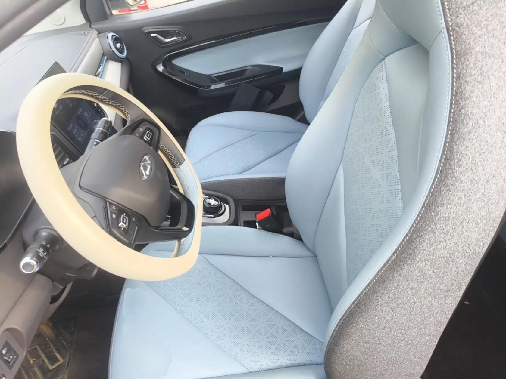 Chery QQ Little Ant 2024 251km True Love Edition — миниатюра 17
