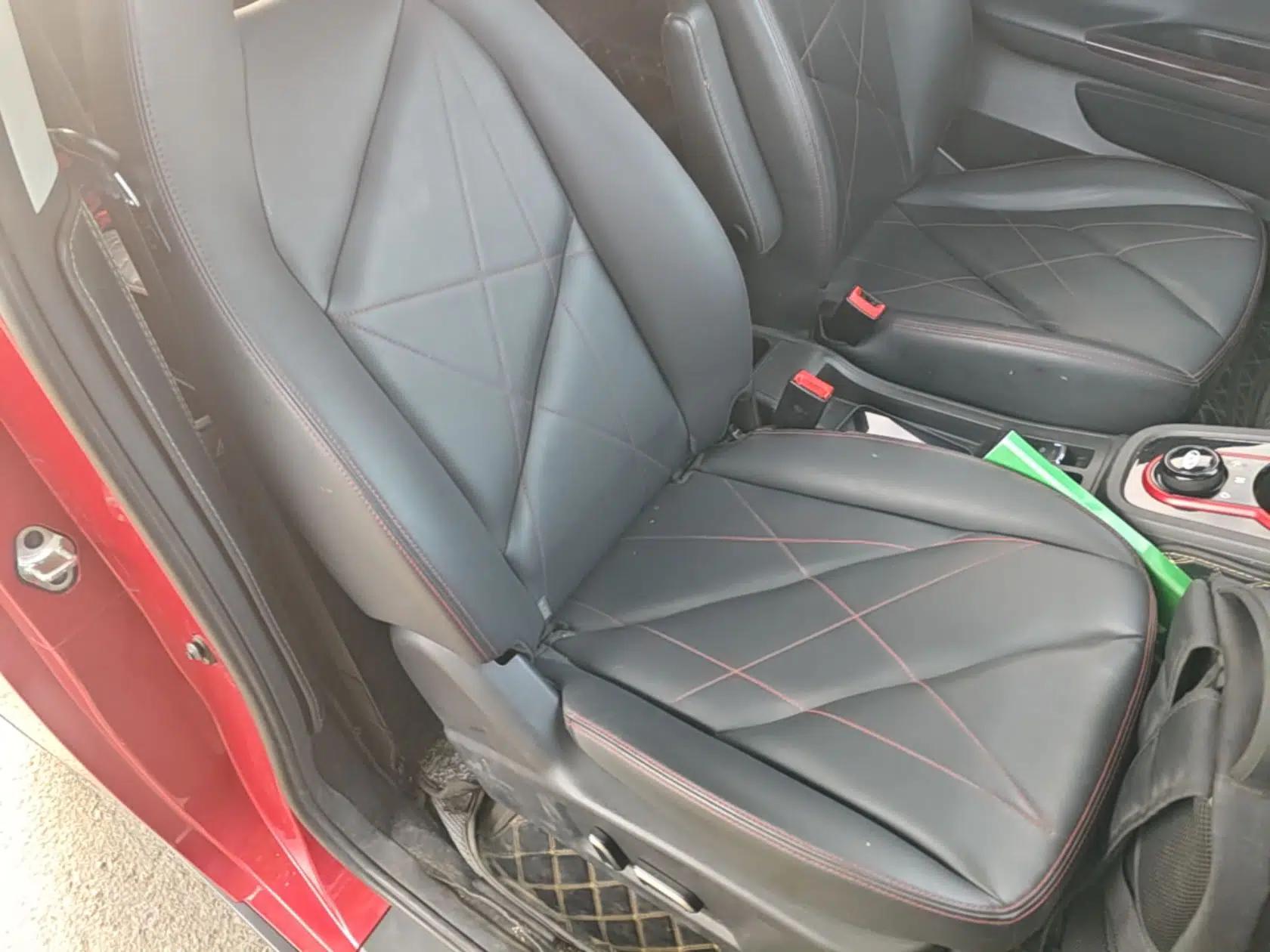 Chery QQ Little Ant 2022 Sweet Pink Edition Half-Sugar Version 3-Cell Lithium 30kW 301km — миниатюра 19