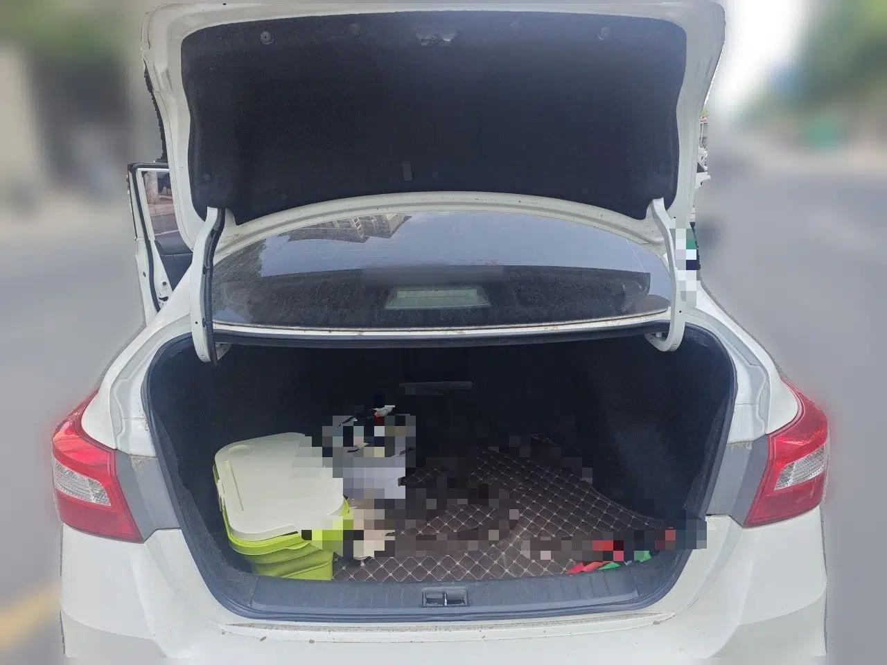 Nissan Sylphy 2018 1.6XV CVT Deluxe Edition — миниатюра 19