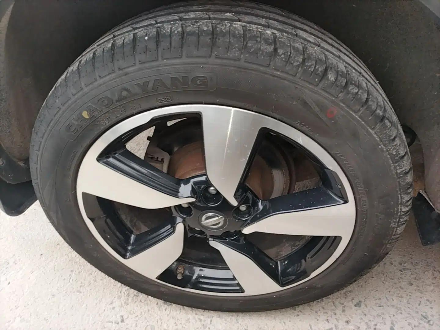 Nissan Qashqai 2016 2.0L CVT Luxury Edition — миниатюра 11