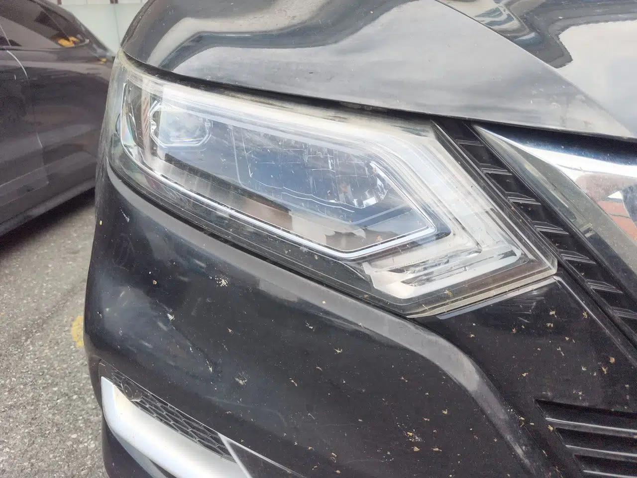 Nissan Qashqai 2021 2.0L CVT Luxury Edition — миниатюра 7