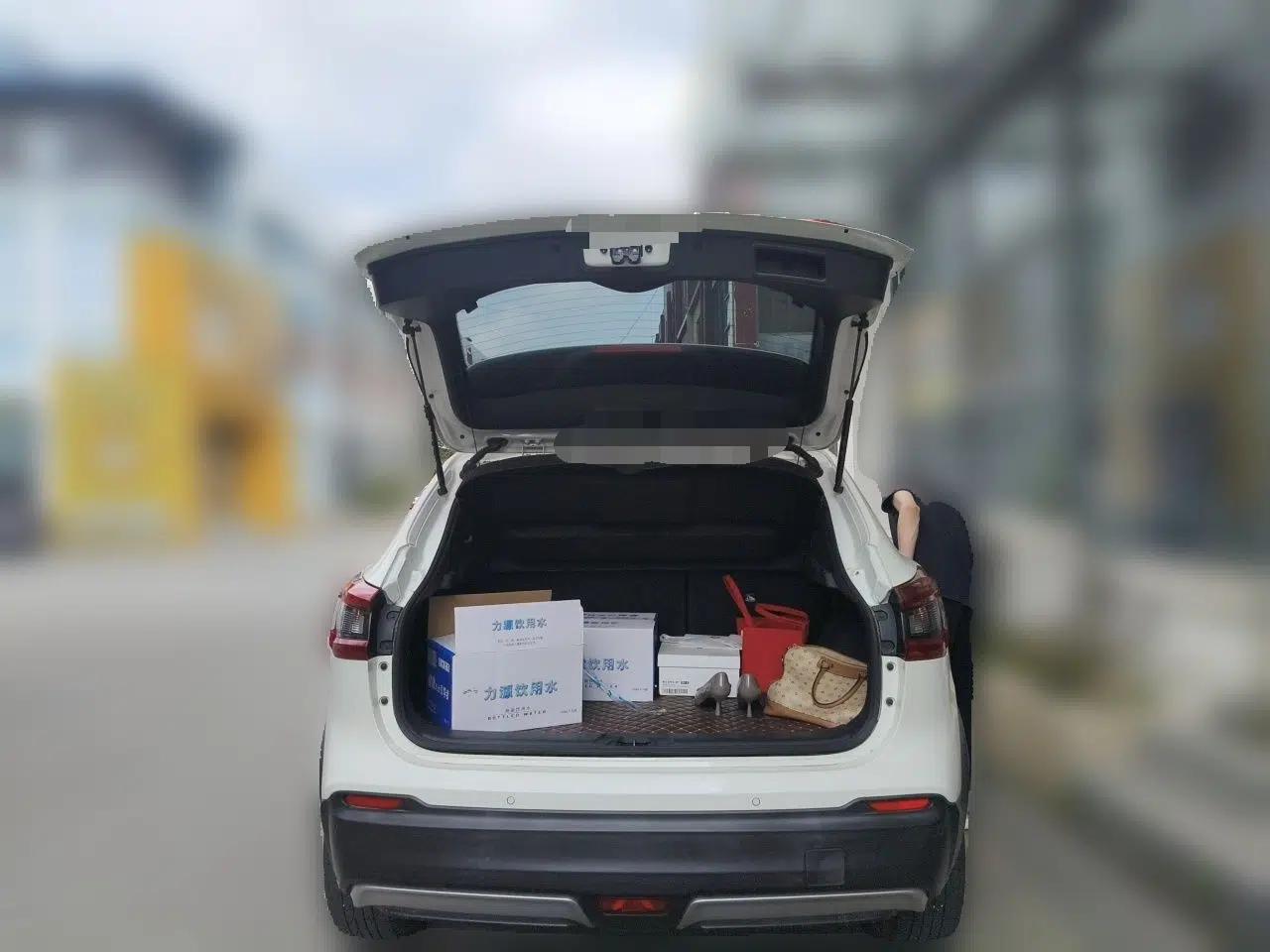 Nissan Qashqai 2021 2.0L CVT Luxury Navigation Edition — миниатюра 19