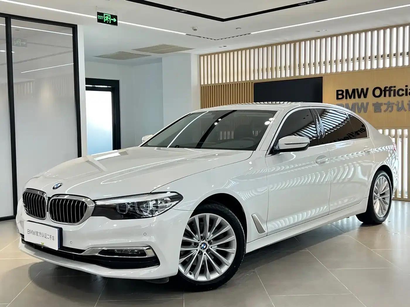 2019 BMW 5 Series 525Li Luxury Package — миниатюра 1