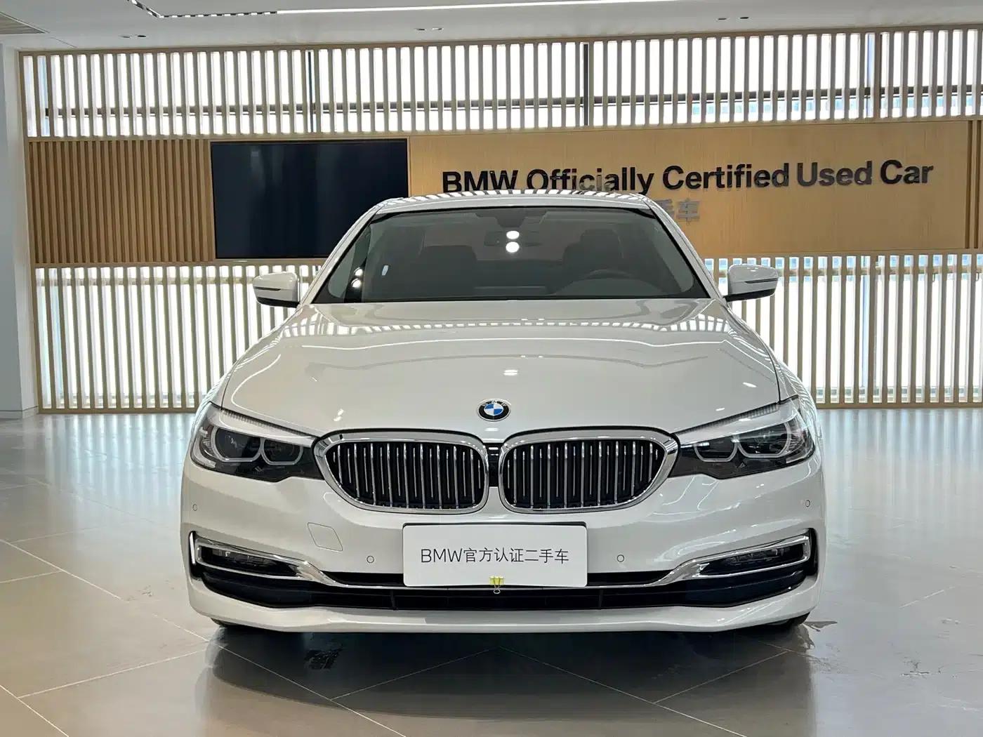 2019 BMW 5 Series 525Li Luxury Package — миниатюра 2