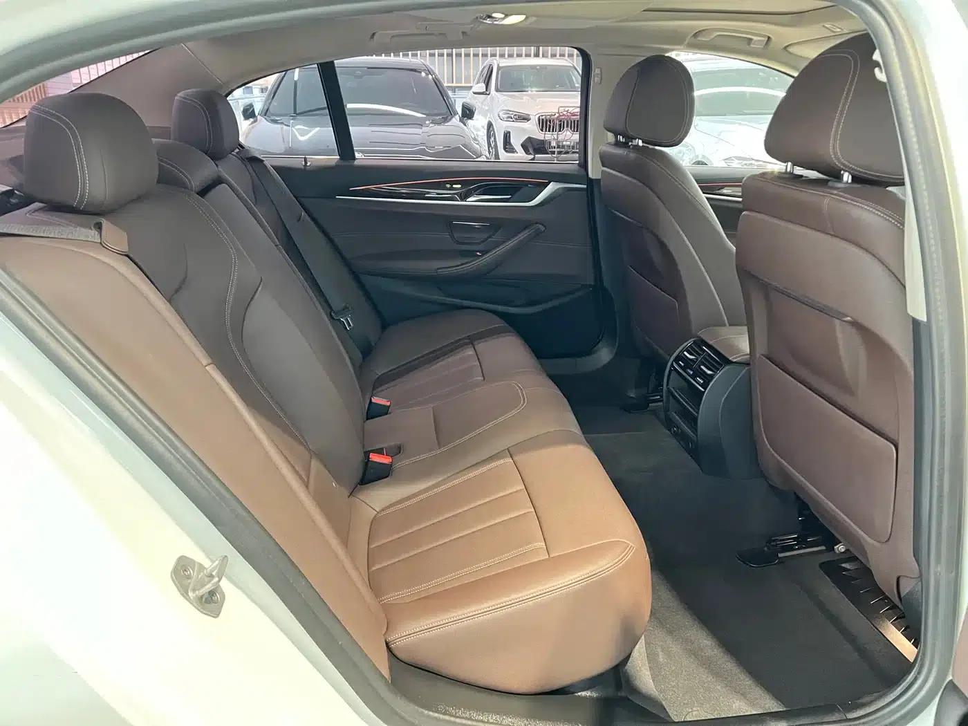 2019 BMW 5 Series 525Li Luxury Package — миниатюра 12