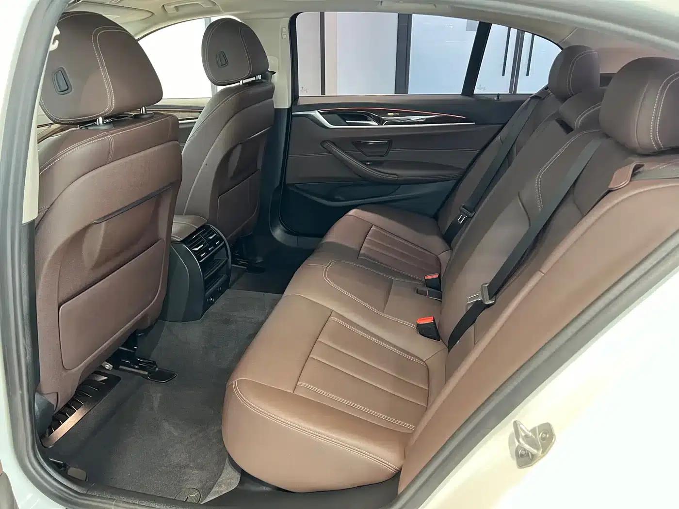2019 BMW 5 Series 525Li Luxury Package — миниатюра 15