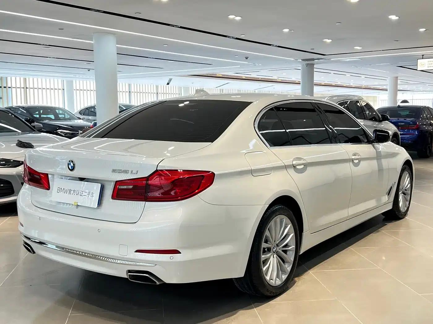 2019 BMW 5 Series 525Li Luxury Package — миниатюра 16