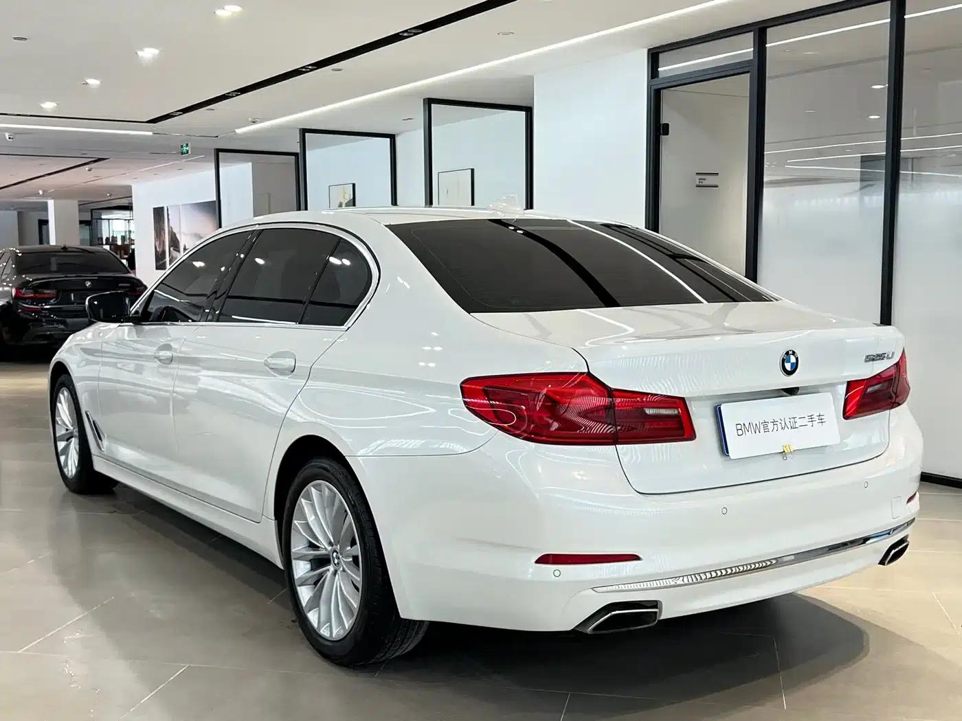 2019 BMW 5 Series 525Li Luxury Package — миниатюра 17