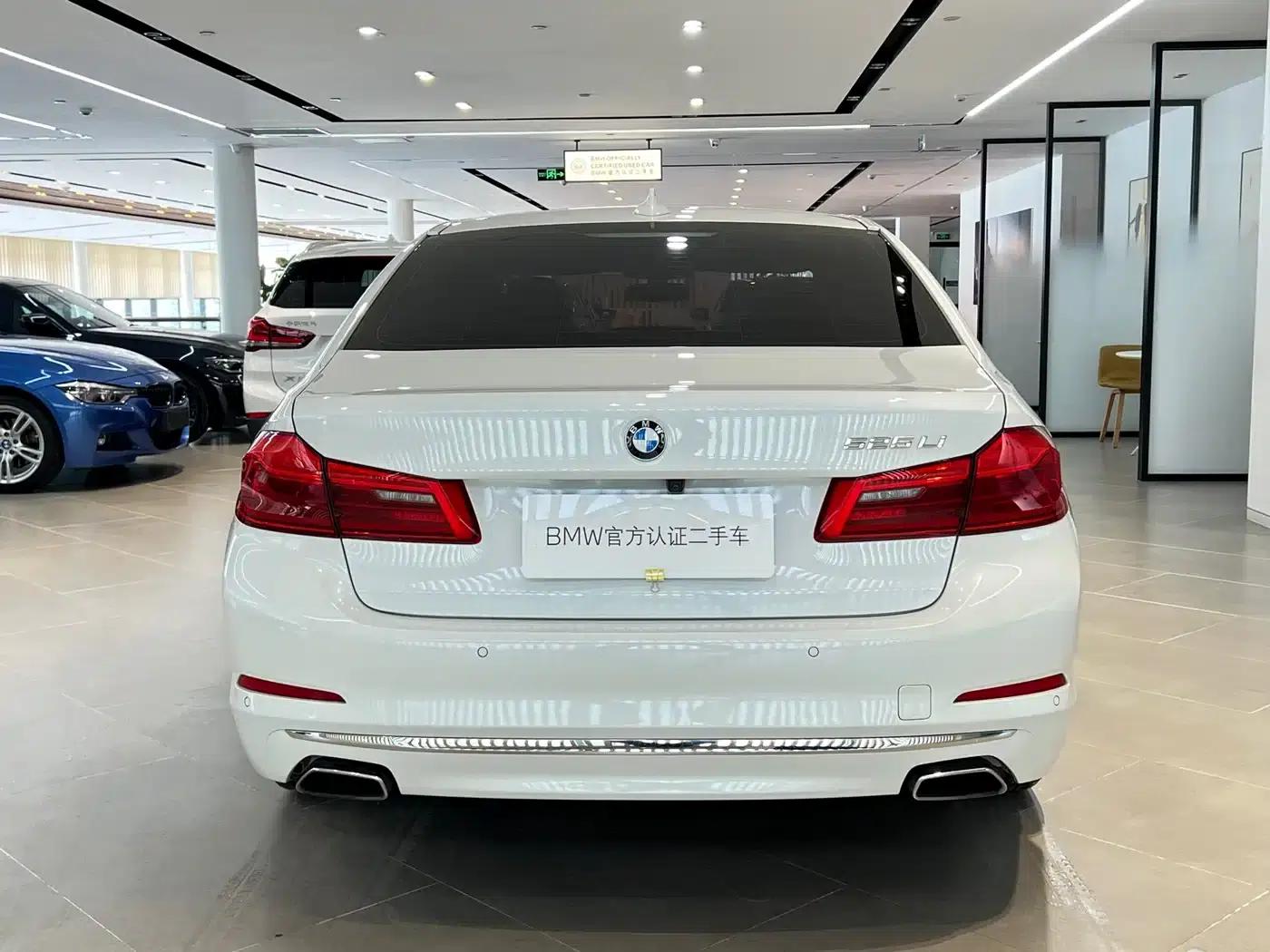 2019 BMW 5 Series 525Li Luxury Package — миниатюра 18