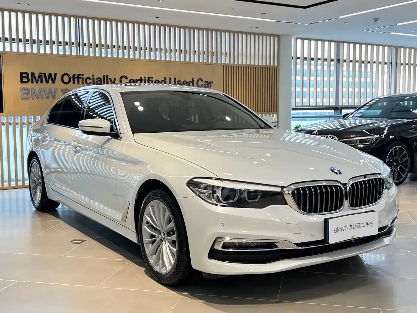 2019 BMW 5 Series 525Li Luxury Package — миниатюра 3