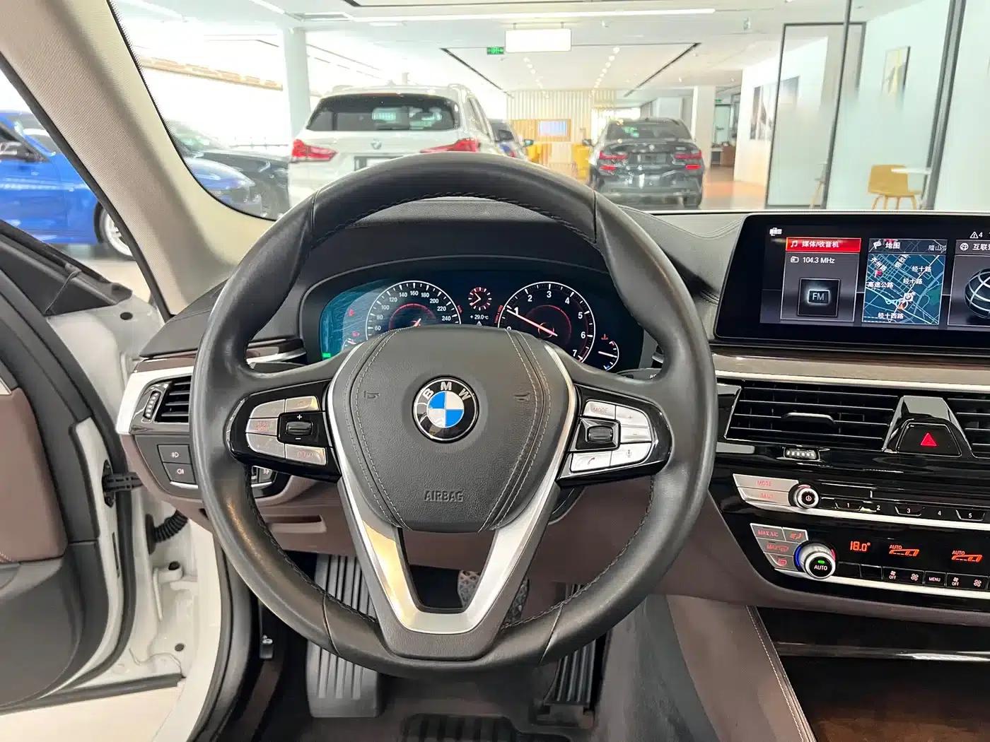 2019 BMW 5 Series 525Li Luxury Package — миниатюра 4