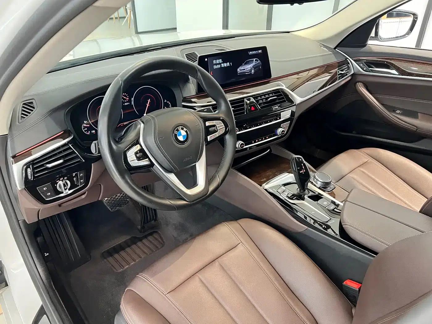 2019 BMW 5 Series 525Li Luxury Package — миниатюра 8